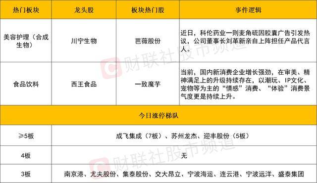 【代表委员风采】陈军：成为患者心中坚实的“医”靠