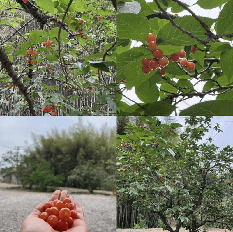 2023 ProWine：荣耀回归，闪耀香港
