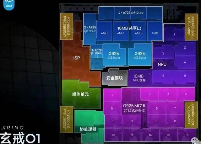 枞阳县开展新的社会阶层人员“先让礼让” 书画摄影采风活动